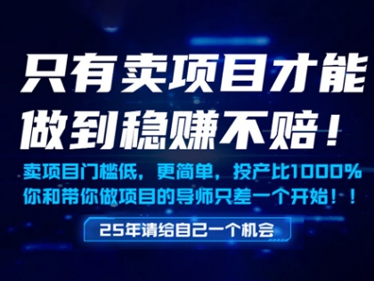 只有卖项目才能做到稳挣不赔，门槛低，更简单，你也可以年入百个W【揭秘】-副业网创