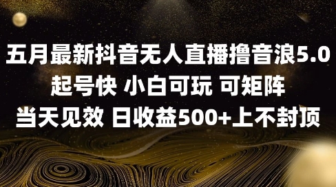 2025五月最新无人直播撸音浪单日产出5张+实操教程【揭秘】-副业网创