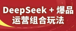 DeepSeek+爆品运营组合玩法，2025淘系精品课-副业网创