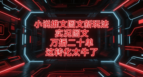 小说推文图文新玩法，实况图文，万播二十单，这转化太牛了！-副业网创