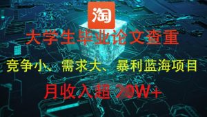 大学生毕业论文查重，暴利蓝海项目，月收入过1W+-副业网创
