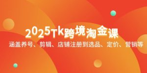 2025Tk跨境淘金课：涵盖养号、剪辑、店铺注册到选品、定价、营销等-副业网创