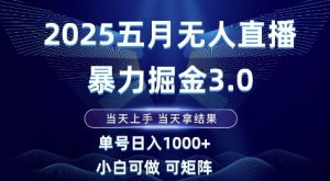 2025五月无人直播暴力掘金3.0，当天上手，当天拿结果，单号日入1k+小白可做可矩阵【揭秘】-副业网创