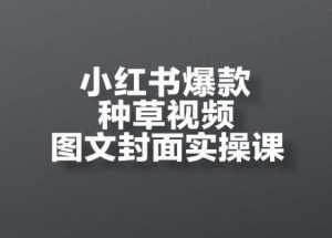 小红书爆款种草视频图文封面实操课,开店、选品、引流、变现全流程-副业网创