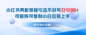 小红书男粉常规引流不封号日引99+变现简单 可矩阵可复制小白容易上手-副业网创
