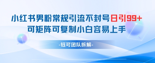 小红书男粉常规引流不封号日引99+变现简单 可矩阵可复制小白容易上手-副业网创