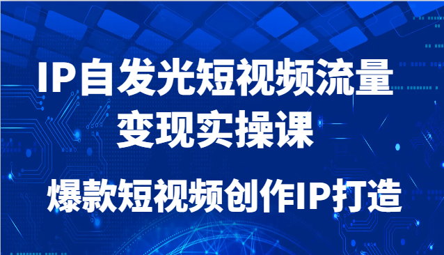 IP自发光短视频流量变现实操课，爆款短视频创作IP打造-副业网创