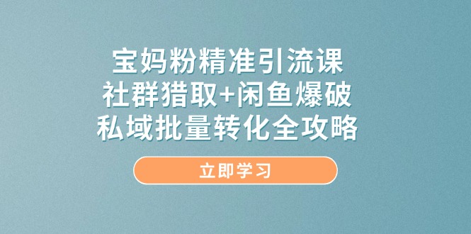 宝妈粉精准引流课，社群猎取+闲鱼爆破，私域批量转化全攻略-副业网创