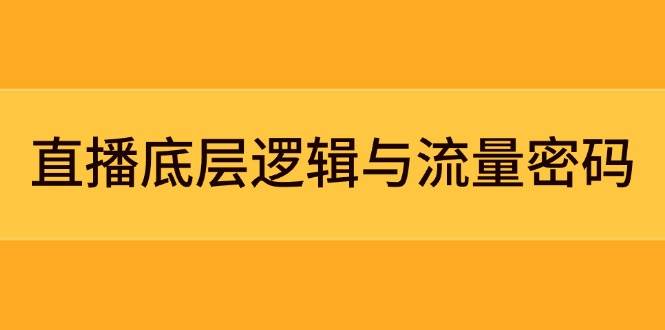 直播底层逻辑与流量密码：定位模型+案例拆解，急速流承接与数据优化全攻略-副业网创