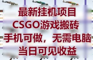 最新挂G项目,CSGO游戏搬砖,手机可做,无需电脑,当日见收益【揭秘】-副业网创