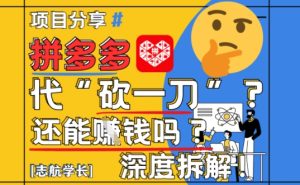 【2025最新】拼多多代坎助力项目深度拆解：还能挣钱吗?全流程玩法-副业网创
