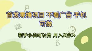 首发零撸项目 不看广告 手机可做 新手小白可以做  月入3k+【揭秘】-副业网创