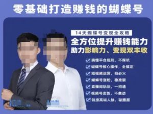 蝴蝶号专栏-视频号运营教程，零基础打造挣钱的蝴蝶号，14天蝴蝶号变现全攻略-副业网创