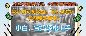2025年翻身计划，小程序自动掘金48小时可见收益，日入2000+，长期稳定...-副业网创