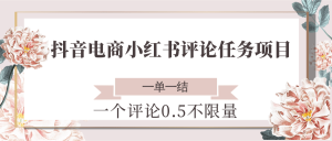 抖音电商小红书评论任务项目，一个评论0.5，一单一结 不限量-副业网创