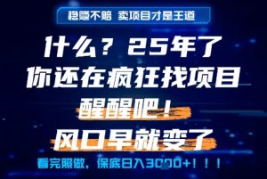 什么？25年你还在疯狂找项目做，醒醒吧，看完这些你全都懂了！【揭秘】-副业网创