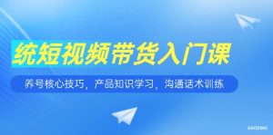 短视频带货入门课，养号核心技巧，产品知识学习，沟通话术训练-副业网创