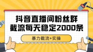 抖音直播间粉丝群暴力截流,一台电脑每天稳定2000条数据【揭秘】-副业网创