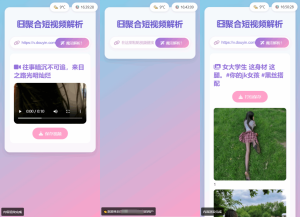 全新二次元聚合短视频解析去水印系统源码 自适应双端-副业网创