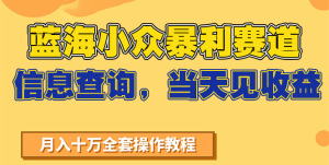 蓝海小众暴利赛道,信息查询,当天见收益,不讲玄学,7天搞了2万+-副业网创
