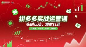 拼多多实战运营课，实时玩法，爆款打造，改销量，补大单，AB单，直播等(更新2025月)-副业网创