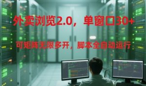 外卖浏览2.0,单窗口30+可矩阵无限多开,脚本全自动运行【揭秘】-副业网创
