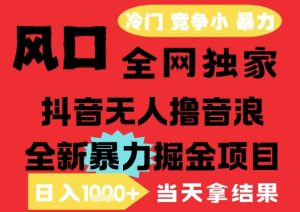 25年6月高爆抖音无人直播最新撸音浪掘金项目，解放双手小白可做，无脑日入1k+，门槛低【揭秘】-副业网创