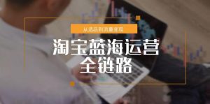 淘宝蓝海运营全链路，从选品到流量变现，小类目突围完整方案-副业网创