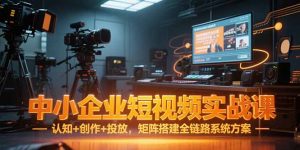 中小企业短视频实战课,认知+创作+投放,矩阵搭建全链路系统方案-副业网创
