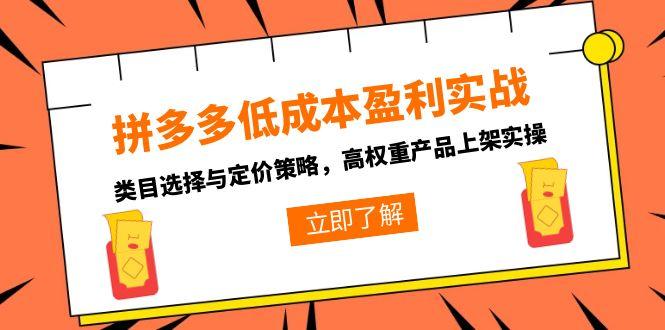 拼多多低成本盈利实战，类目选择与定价策略，高权重产品上架实操-副业网创