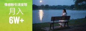 情感粉引流变现实操课:单月变现6w+,情感粉引流变现实操课-副业网创