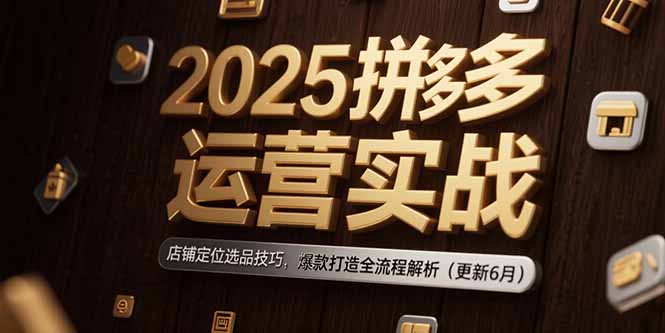 2025拼多多运营实战：店铺定位选品技巧，爆款打造全流程解析(更新6月-副业网创