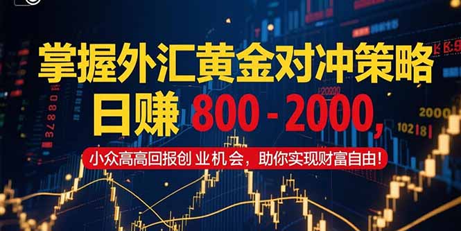 掌握外汇黄金对冲策略，日赚 800 – 2000，小众高回报创业机会，助你实…-副业网创