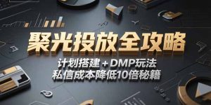 2025小红书聚光投放全攻略,计划搭建+DMP玩法,私信成本降低10倍秘籍-副业网创