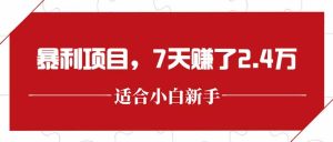 最新暴利项目，每单收益轻松在300以上，7天赚了2.4万-副业网创