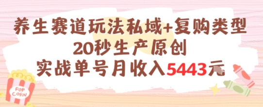养生赛道玩法私域+复购类型，20秒生产原创实战单号月收入5k+-副业网创