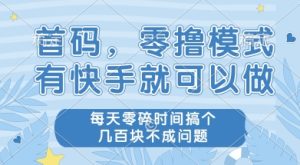 首码零撸项目，有快手就可以做，每天业务时间搞个几张不是问题【揭秘】-副业网创