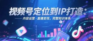 视频号定位到IP打造：账号搭建-内容运营-直播变现，完整知识体系-副业网创