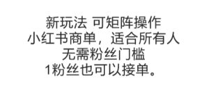 可矩阵操作，小红书商单新玩法，适合所有人，无需粉丝门槛，1粉丝也可以接单-副业网创