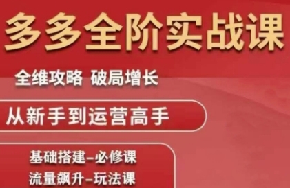 拼多多全阶实战课程，全维攻略，破局增长，从新手到运营高手-副业网创