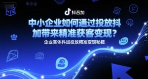 中小企业如何通过投放抖加带来精准获客变现?企业实体抖加投放精准变现秘籍-副业网创