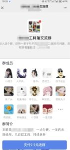 2025实操工具软件类领域公众号,多种变现方式分享-副业网创