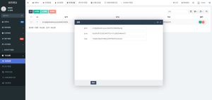 2025款高仿新版假飞机假TG源码/以及搭建教程-副业网创