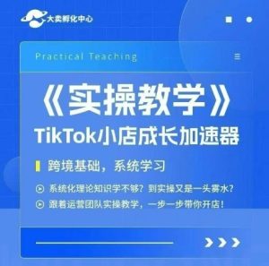 大卖家孵化中心TikTok实操课,TikTok小店成长加速器,跨境基础系统学习,一步一步带你开店-副业网创