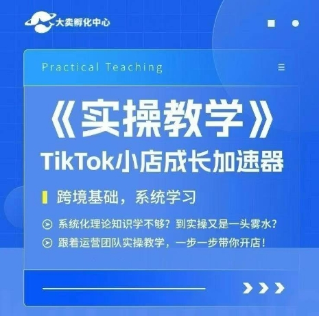 大卖家孵化中心TikTok实操课，TikTok小店成长加速器，跨境基础系统学习，一步一步带你开店-副业网创