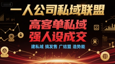 一人公司私域联盟，高客单私域，强人设成交，建私域 搞发售 广结盟 造势能-副业网创