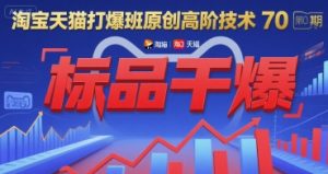 淘宝天猫打爆班原创高阶技术第70期:标品干爆-副业网创