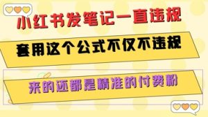 小红书发笔记一直违规，套用这个公式不仅不违规，来的还都是精准的付费粉-副业网创