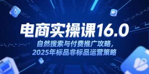 淘宝电商运营课16.0,自然搜索与付费推广攻略,2025年标品非标品运营策略-副业网创