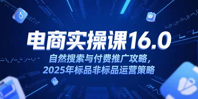 淘宝电商运营课16.0，自然搜索与付费推广攻略，2025年标品非标品运营策略-副业网创